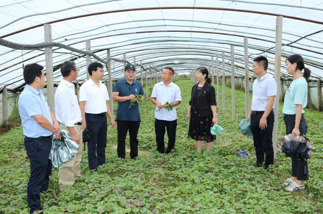 點(diǎn)擊瀏覽下一頁