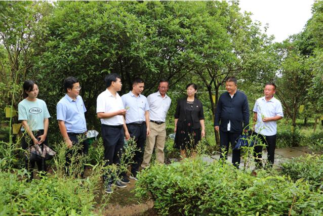 點(diǎn)擊瀏覽下一頁